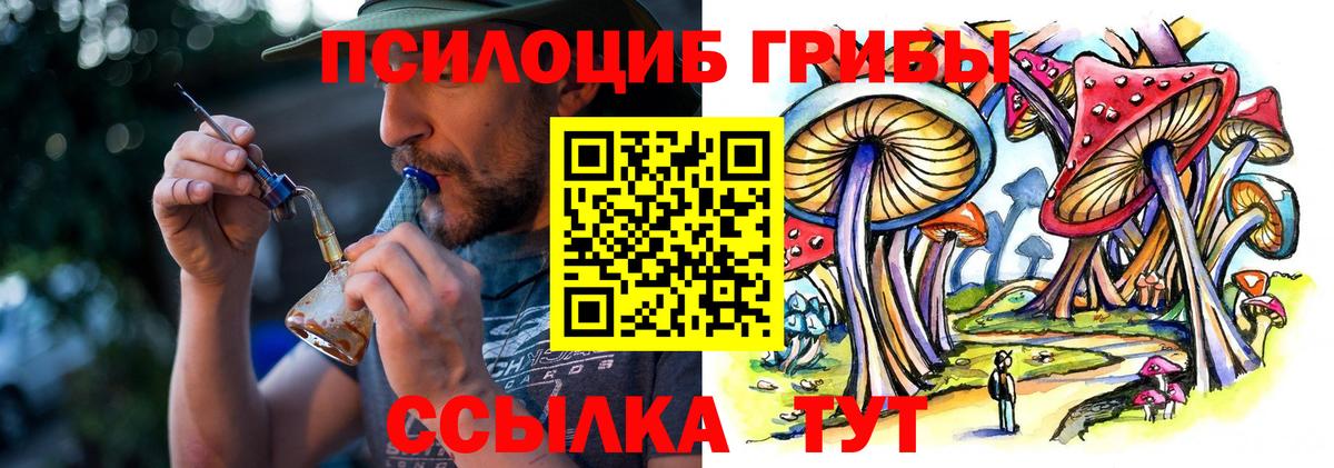 Псилоцибиновые грибы мицелий Белебей